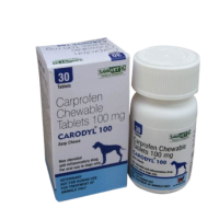 Carodyl