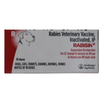 Rabisin