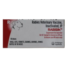 Rabisin