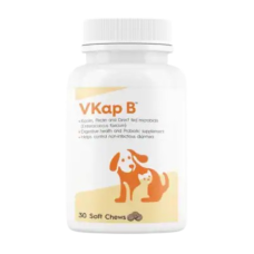 VKap B