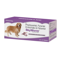 Skyworm Dog