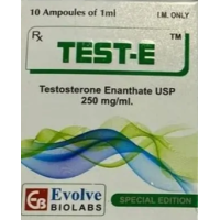TEST-E