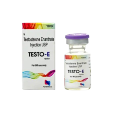 Testo E