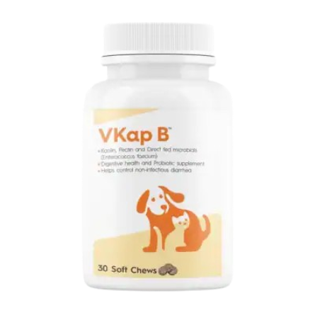 VKap B
